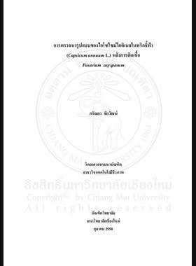 การตรวจหารูปแบบของไอโซไซม์ไคติเนสในพริกชี้ฟ้า (capsicum annuum l.) หลังการติดเชื้อ Fusarium oxysporm = Detection of chitinase lsozyme patterns in spur pepper (capsicum annuum l.) after infection with fusarium oxysporum / ภรัณยา ชัยวัฒน์ book