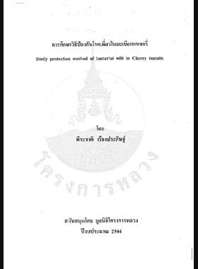 การศึกษาวิธีป้องกันโรคเหี่ยวในมะเขือเทศเชอรี่ = Study protection method of bacterial wilt in Cherry Tomato / โดย พีระชาติ เรืองประดิษฐ์ book