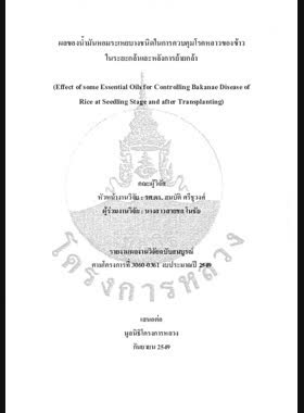 ผลของน้ำมันหอมระเหยบางชนิดในการควบคุมโรคหลาวของข้าวในระยะกล้าและหลังการย้ายกล้า : รายงานผลงานวิจัยฉบับสมบูรณ์ = Effect of some essential oils for controlling bakanae disease of rice at seedling stage and after transplanting / สมบัติ ศรีชูวงศ์ book