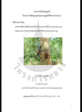 การศึกษาวิธีการป้องกันและกำจัดด้วงงวงเจาะหน่อไผ่ (Cyrtotrachelus sp.) : รายงานฉบับสมบูรณ์ = Study on the control of bamboo shoot borer Cyrtotrachelus sp. / วัฒนชัย ตาเสน book