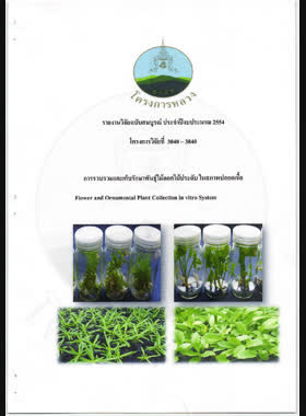 การรวบรวมและเก็บรักษาพันธุ์ไม้ดอกไม้ประดับในสภาพปลอดเชื้อ : รายงานวิจัยฉบับสมบูรณ์ = Flower and ornamental plant collection in vitro system / พรพิมล ไชยมาลา book