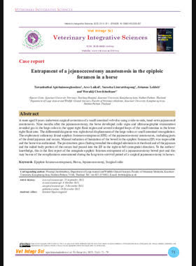 Entrapment of a jejunocecostomy anastomosis in the epiploic foramen in a horse book