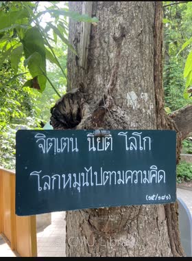 ต้นไม้พูดได้ , ต้นไม้พูดกับท่าน : การเรียนรู้ธรรมด้วยตนเอง book