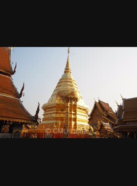 วัดพระธาตุดอยสุเทพ book