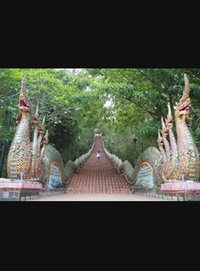 บันไดนาค วัดพระธาตุดอยสุเทพ book