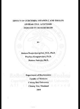 Effect of curcumin, vitamin C and trolox on HL 60 cell apoptosis induced by doxorubicin