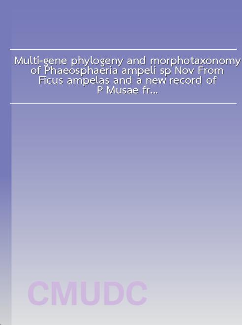 Multi-gene phylogeny and morphotaxonomy of Phaeosphaeria ampeli sp. Nov. From Ficus ampelas and a new record of P. Musae from Roystonea regia book